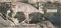  With bucks and deer, these checks are great for wildlife enthusiasts and deer hunters alike.