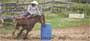 als as they catch young cattle and hogtie pigs.