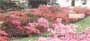 tretched across these gardens.