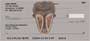 used in the various tribes of Africa.