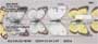 n they own collections.  A great check for bug collectors and butterfly lovers.