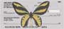 n they own collections.  A great check for bug collectors and butterfly lovers.