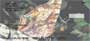 utterflies in Nature brings a new set of rotating images of these gorgeous butterflies as they travel about the world, bringing smiles to all who see them.
