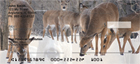 earching for food in the fresh snow.