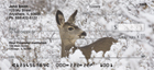 nter scenes and deer scouring through the snow for that little morsel of grass to get them through the winter.