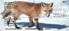 ak about the countryside in search of their food, family, and home.