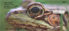 ght in the eye.  Try a staring contest with these eyes and your sure to lose.