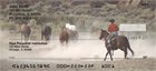 ard and free, and the cowboys wrangling them for a new ride.