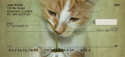 ention on this Tabby cat playing with a daisy.