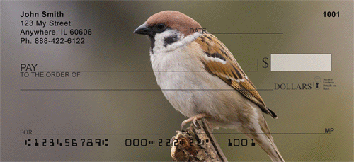 ils of their narrow gray brown head with streaks of dark brown are easily visible in these checks.