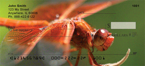 l directions. These close up views show the beautiful details of dragonflies.