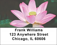 Divine Lotus Flowers Labels | LBFLO-93